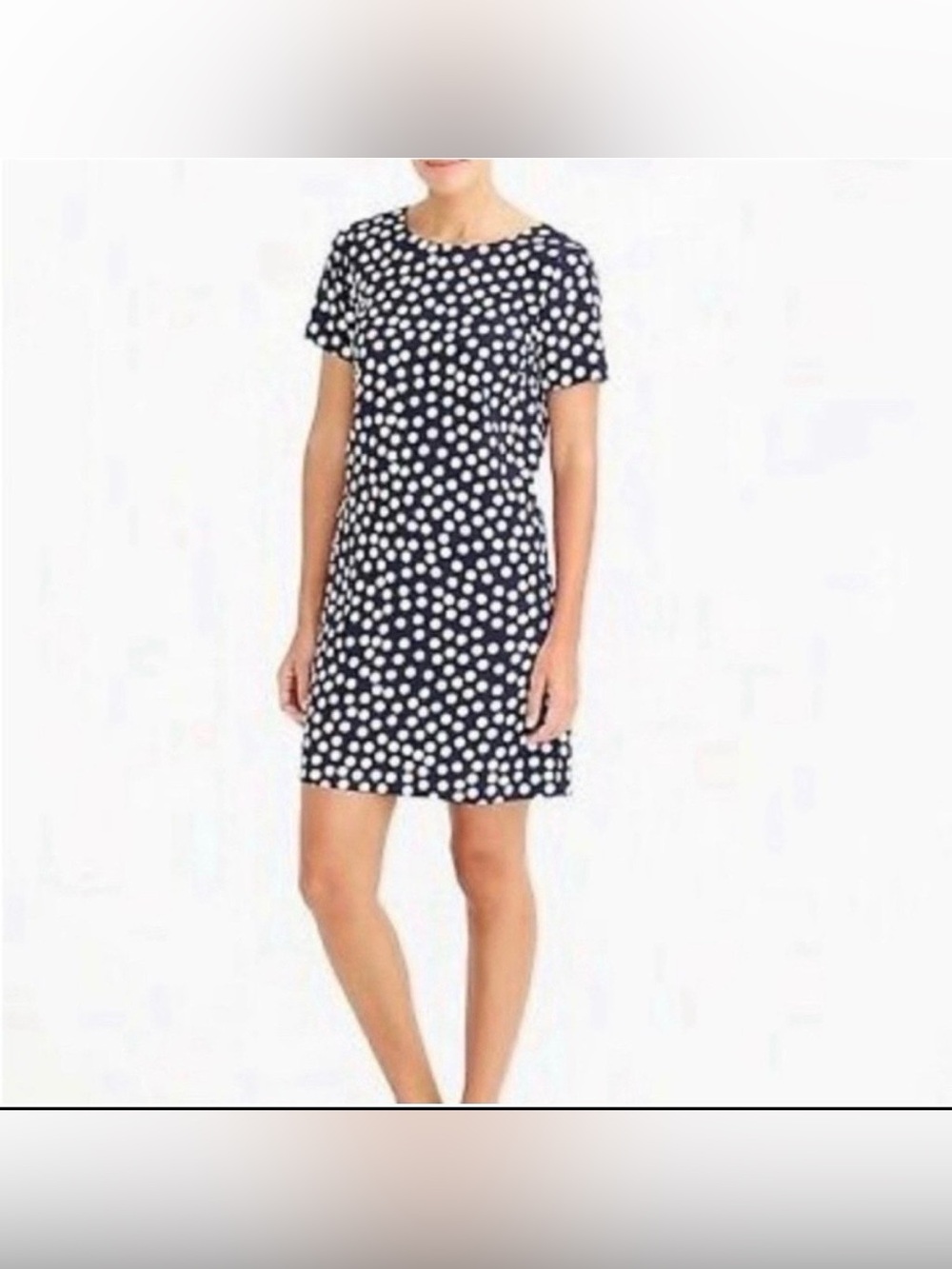 J Crew Polka Dot Dress Size 14